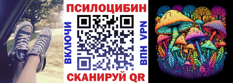 Псилоцибиновые грибы мицелий  кракен как войти  Темников  наркота 